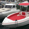 Andarco 22 Sea Fish - Image 15