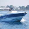 Mingolla Brava 25 open - immagine 14