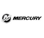 Logo - Motori Mercury