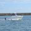 Mingolla Marlin 18 - immagine 2