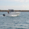 Mingolla Marlin 18 - immagine 3