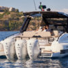 salpa soleil 52