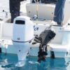 Vista posteriore dell'imbarcazione Tuccoli T210 SF Giannutri con dettaglio sui motori